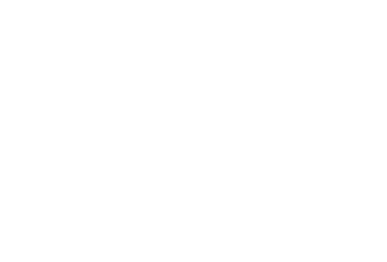 Ryb Reformer