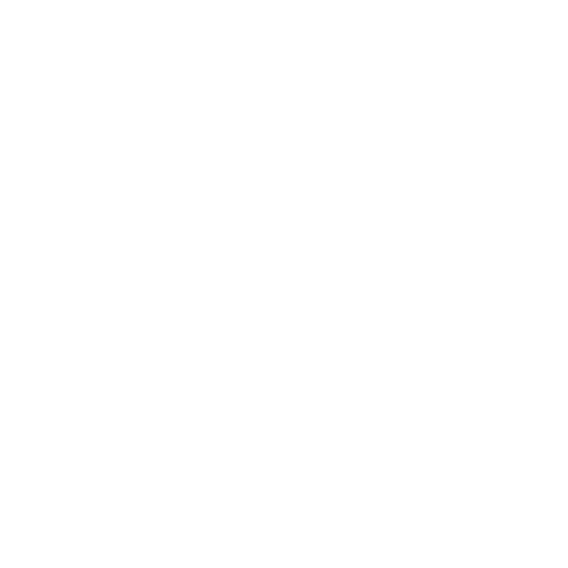 Ryb Steel Sping